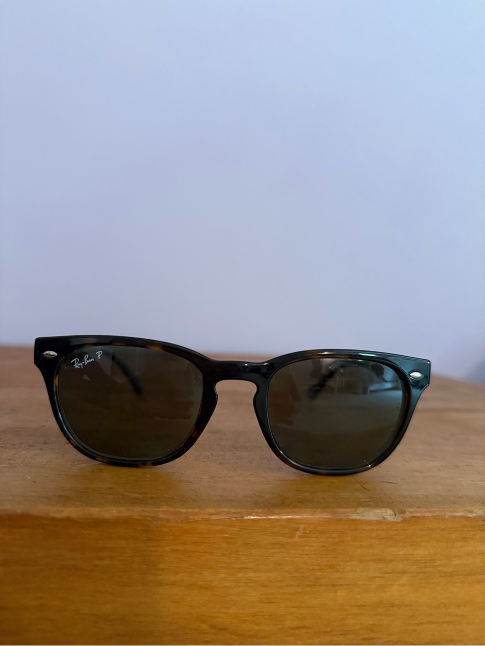 Rayban Tortoise Sunglasses - Polarized Style